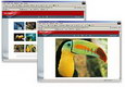 Digital Photo Gallery Software